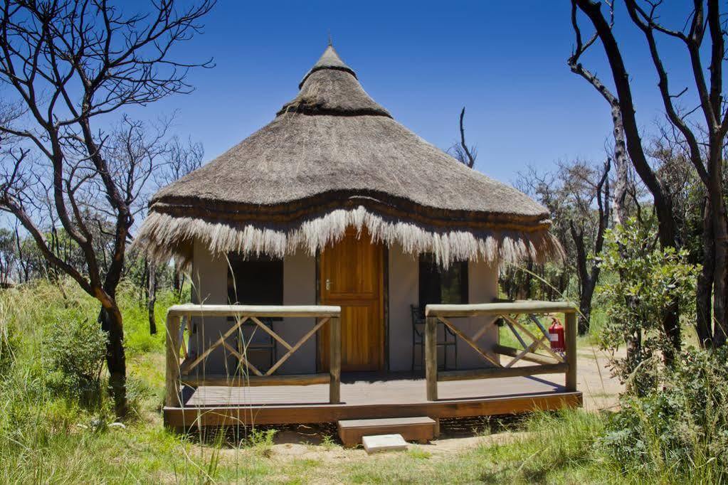 Entabeni Mountain Lodges Mmamatlakala Екстериор снимка